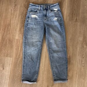American Eagle Outfitters Mom Straight Blue Jeans